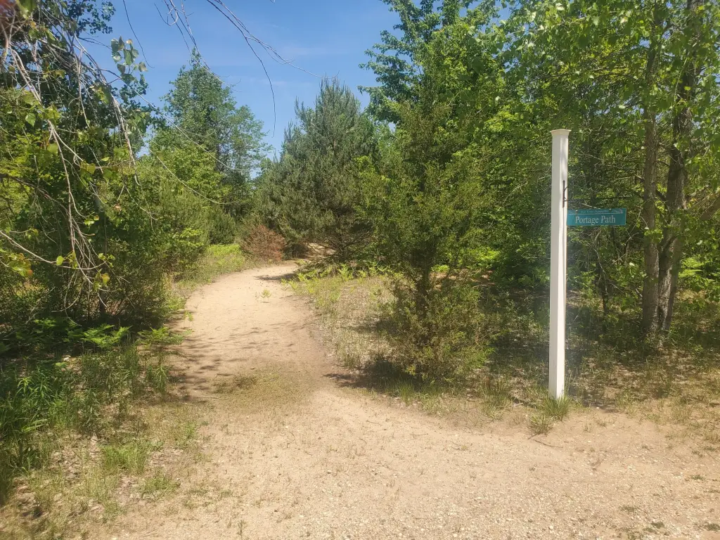 Picture 9