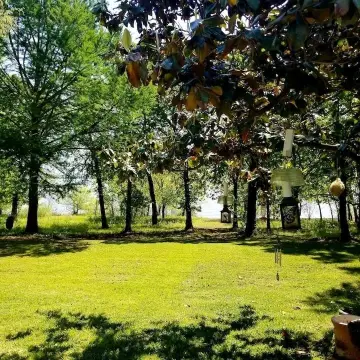 Lakefront Lot on Lake Lewisville