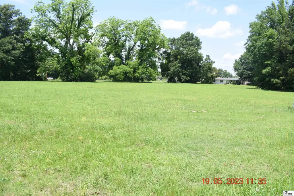 Picture 11