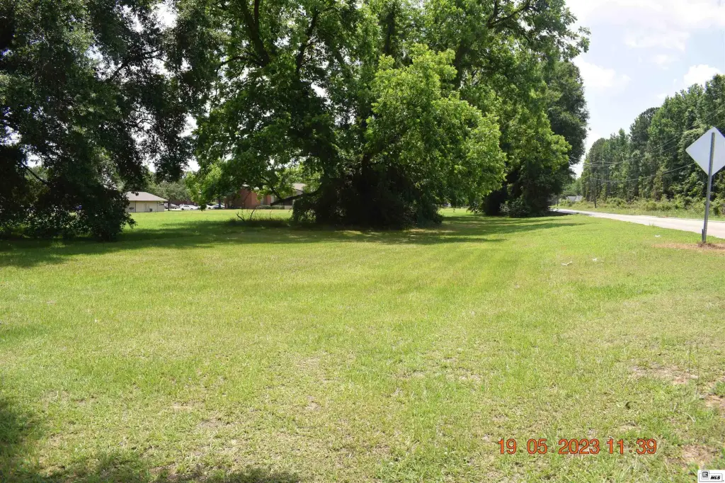 Picture 12