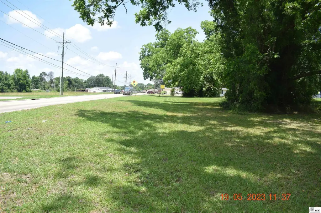 Picture 5