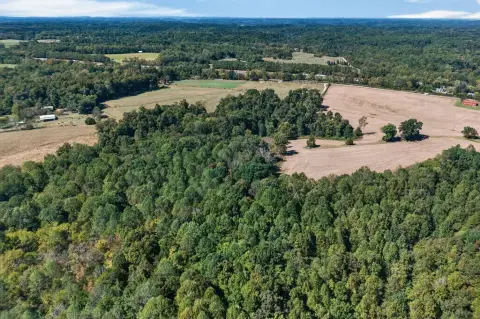 69-Acre Hunting Land
