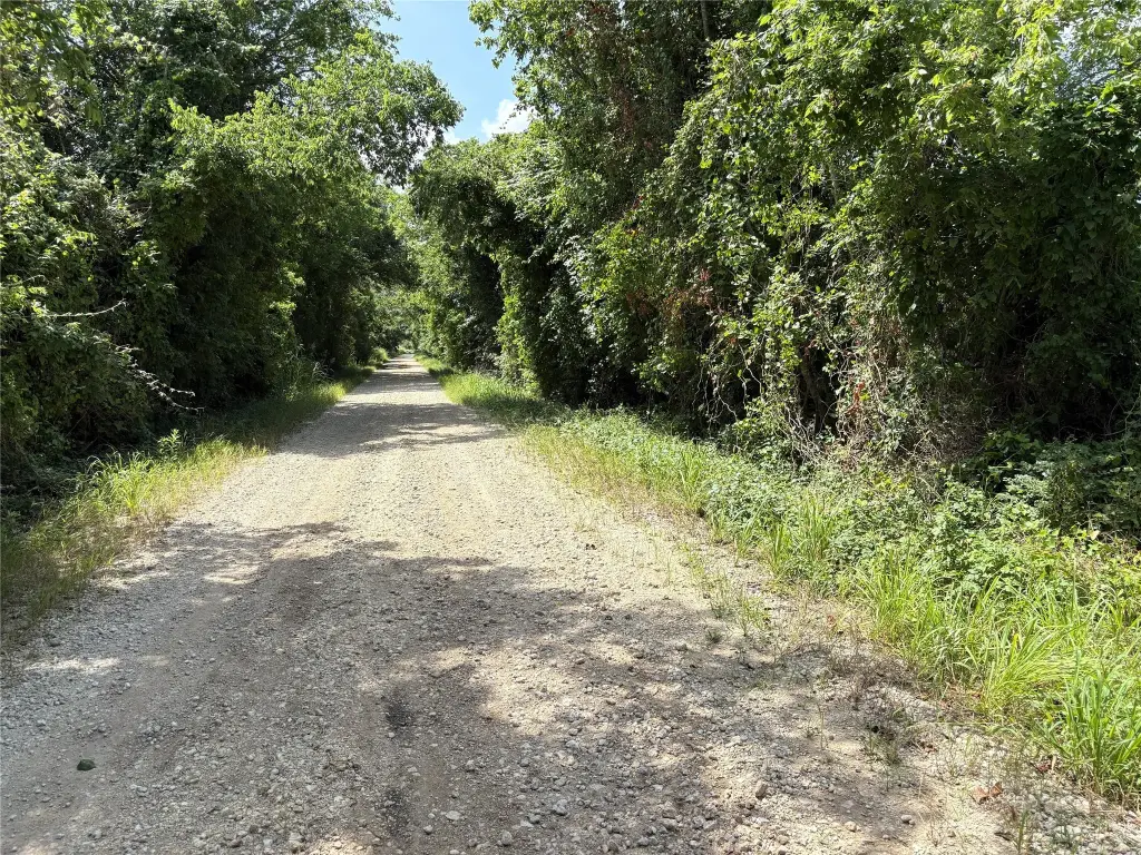 Picture 16