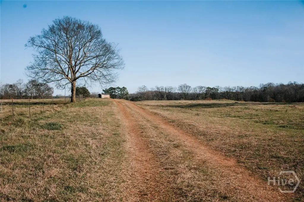 Picture 36