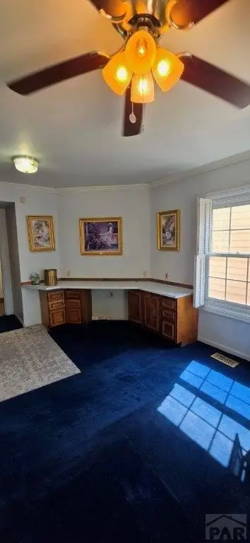 Picture 41