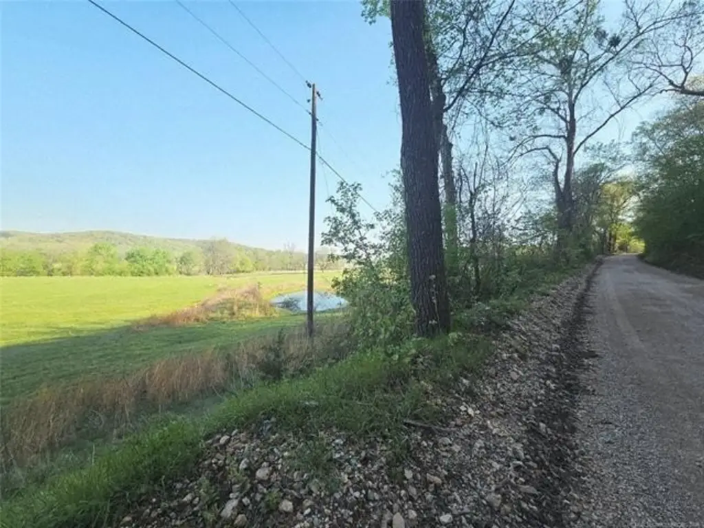 Picture 13