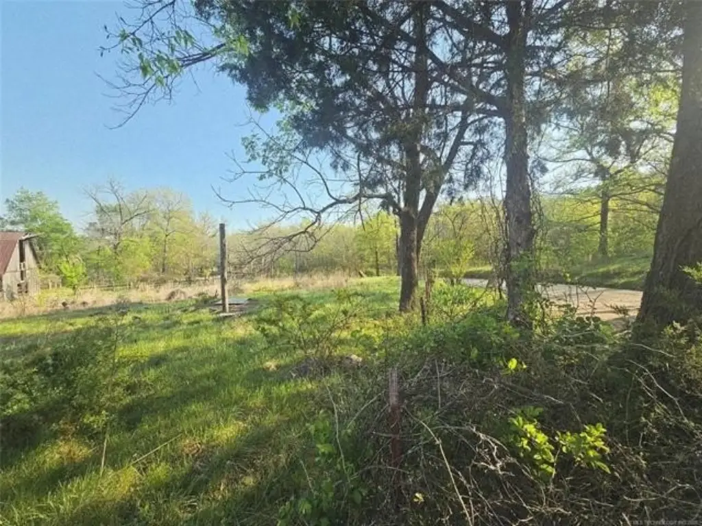 Picture 24