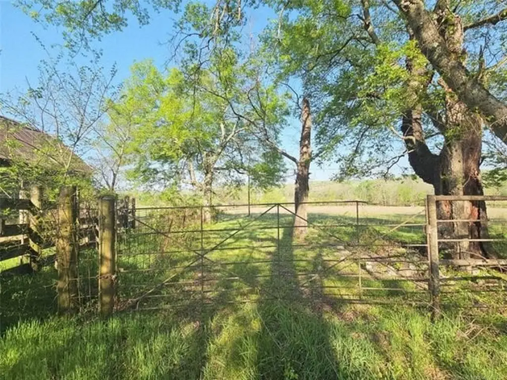 Picture 8