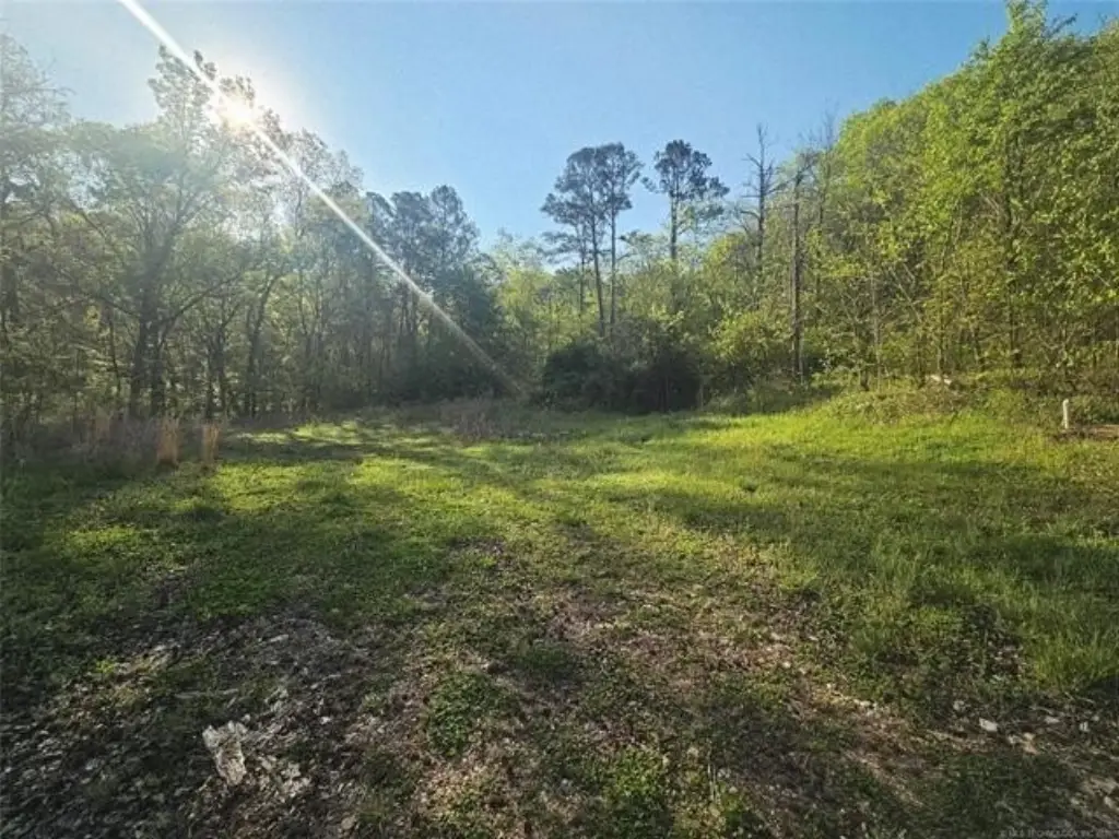 Picture 25
