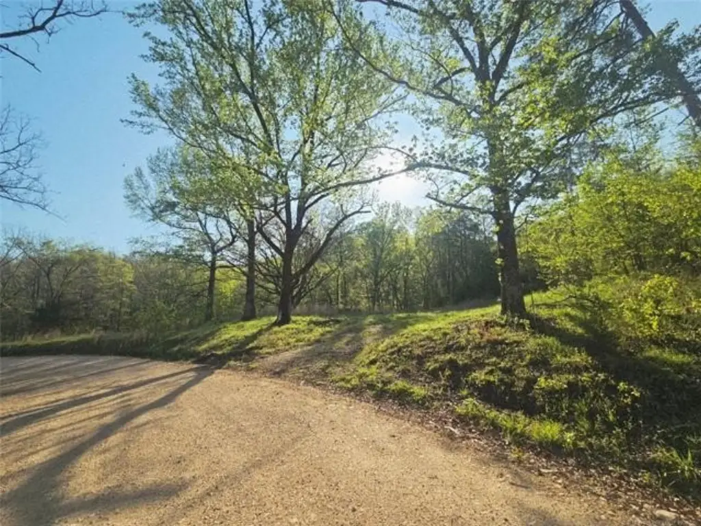 Picture 20