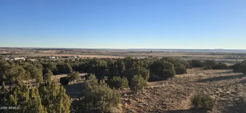 53.71 Acres in Taylor, AZ