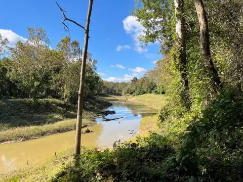 Heavily Wooded Hunting Land