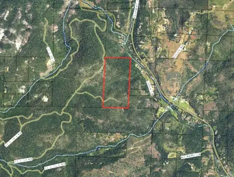 80 Acres of Forested Land