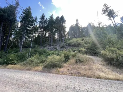 20 Acres of Forested Land