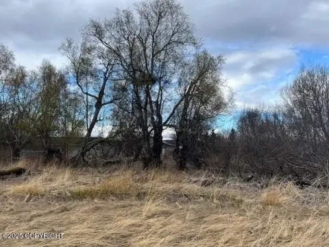 Residential Land in Palmer, Alaska
