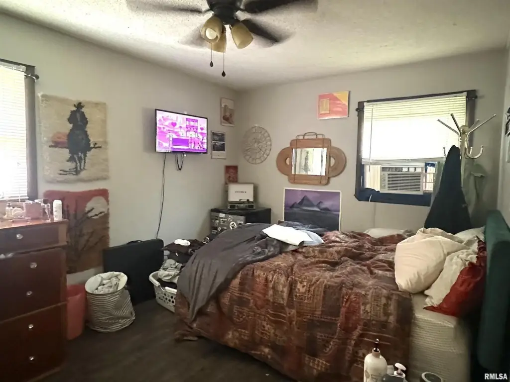 Picture 7