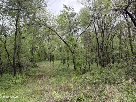 Residential Land in Wooded Area