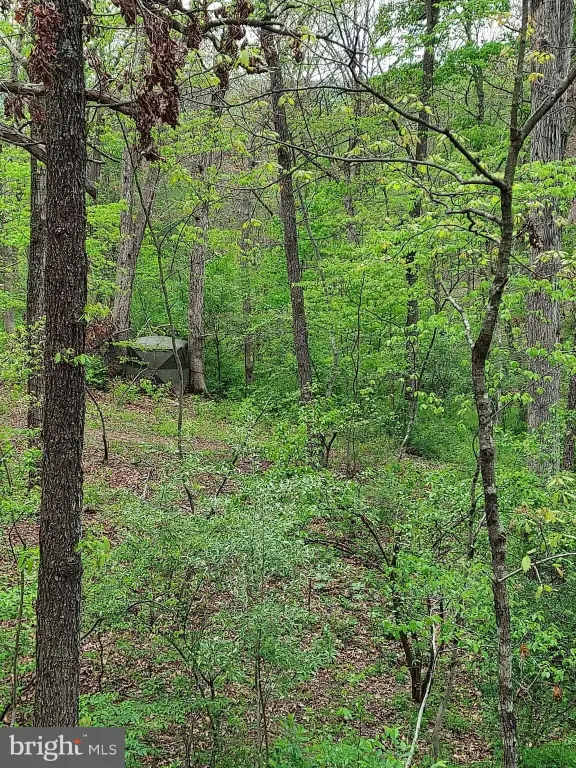 Picture 28