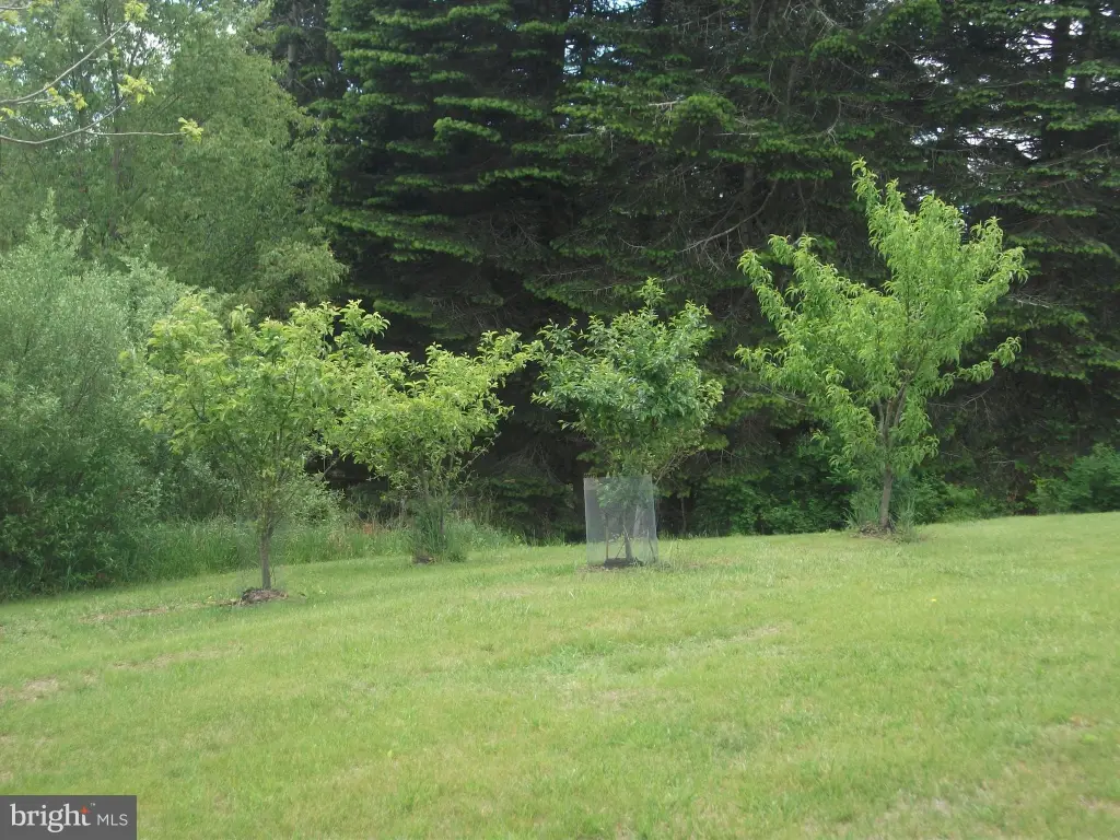 Picture 33