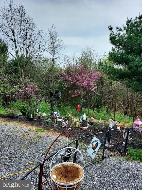 Picture 26