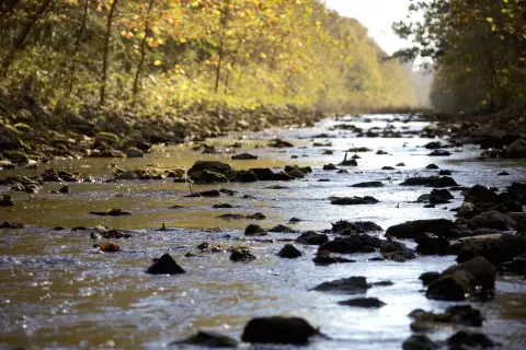 Recreational Land in Tippah County