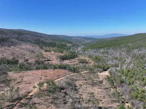 Poteau Mountain Timberland Investment Property