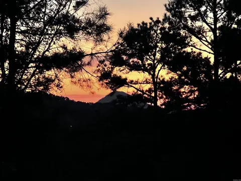 Residential Lots with Tree Line Views