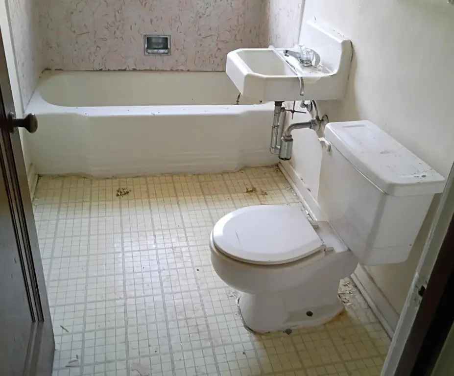 Picture 11