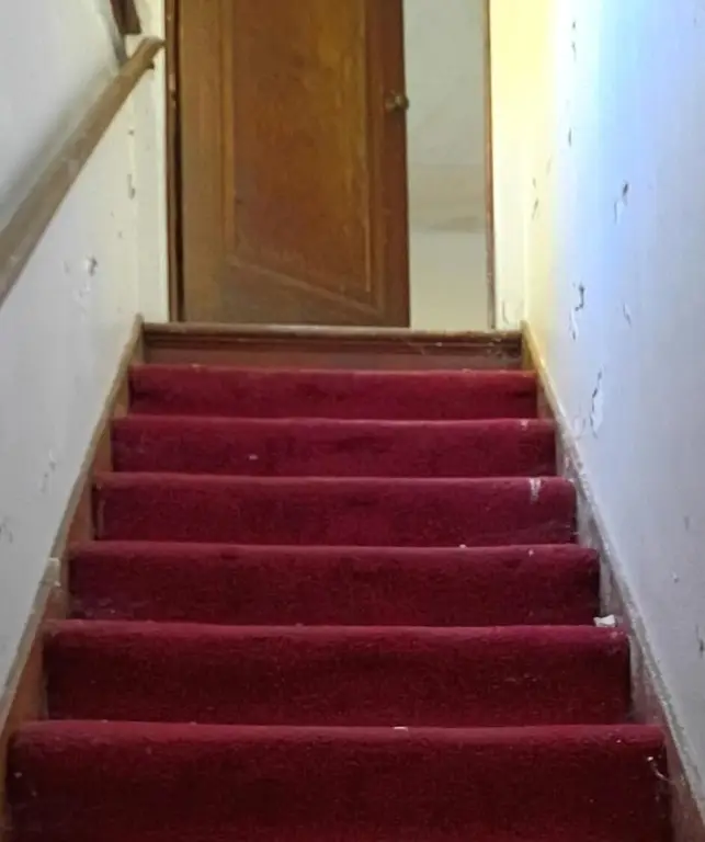 Picture 29