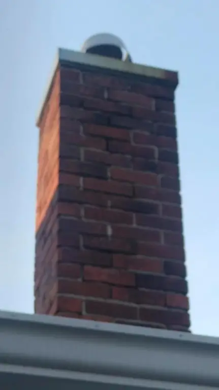 Picture 51
