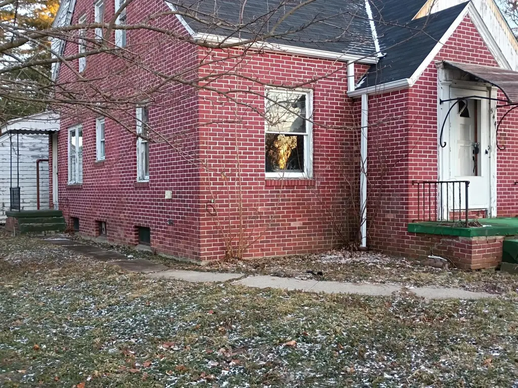 Picture 5