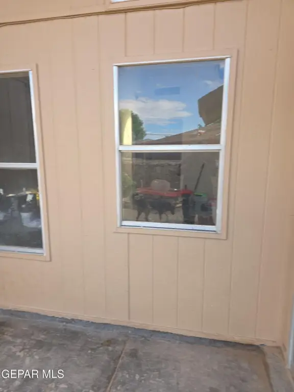 Picture 16