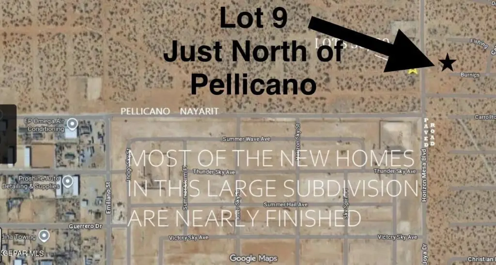 Picture 6