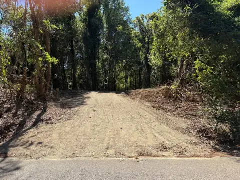 Millington, TN Unrestricted Land