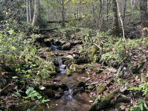 26 Acres in Licklog Community