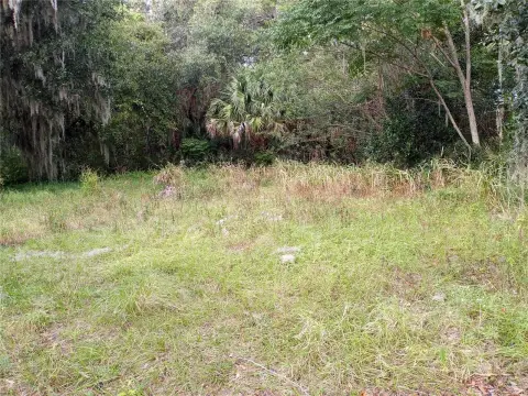 Residential Land in Mims, Florida