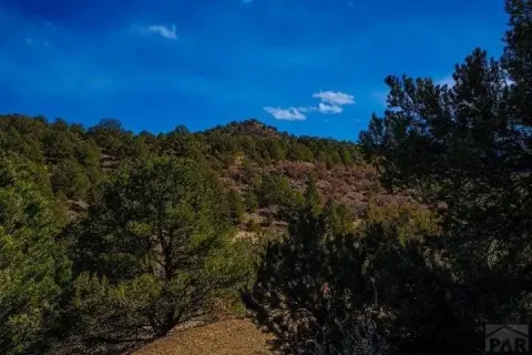 Hunting Land with Gas Well Income