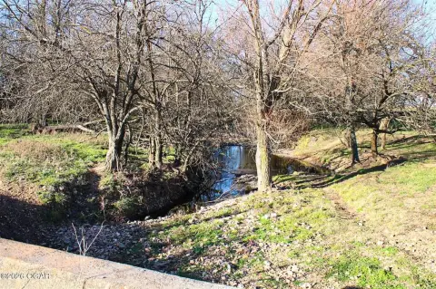 36-Acre Pasture Land in Fairview