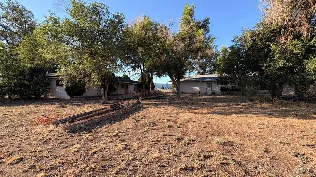 Picture 38