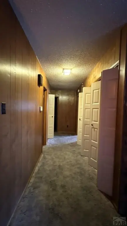 Picture 46