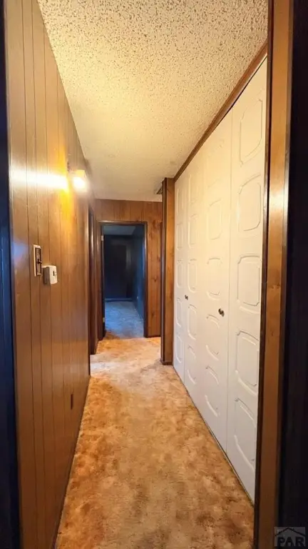 Picture 29