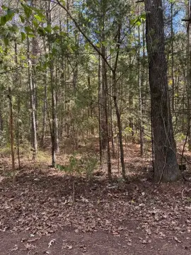 Two Acre Lot in Gilmer