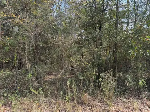 Cedar Creek Lake Waterfront Land