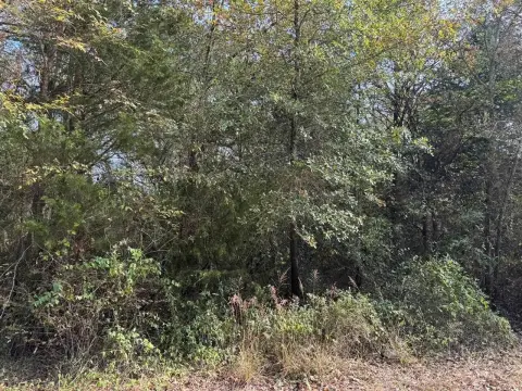 Waterfront Land in Mabank, Texas