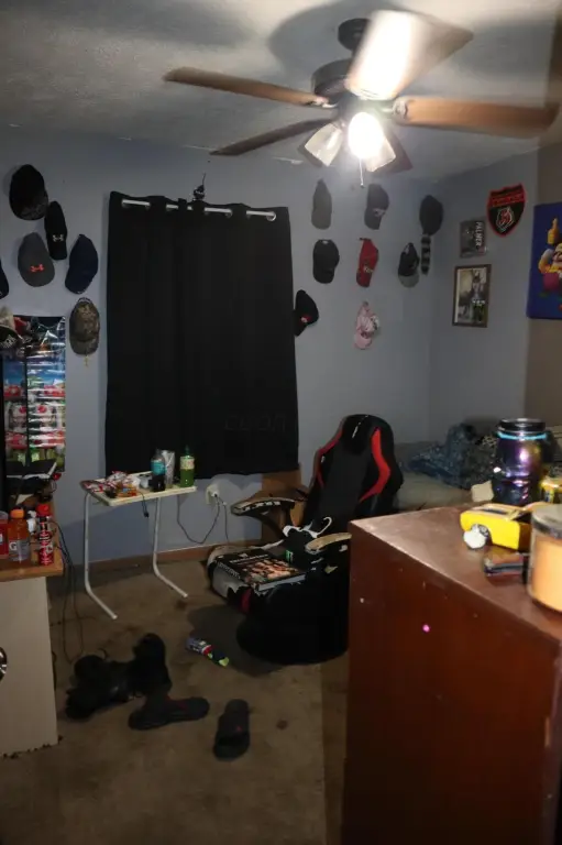 Picture 14
