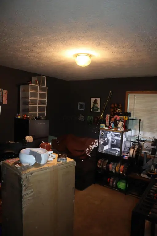 Picture 8