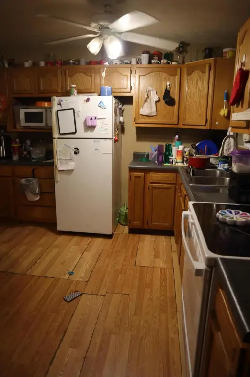 Picture 16
