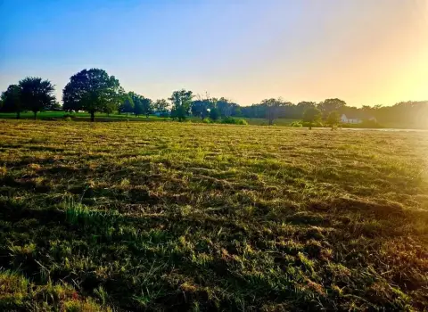 Waterfront Land in Anna Lake