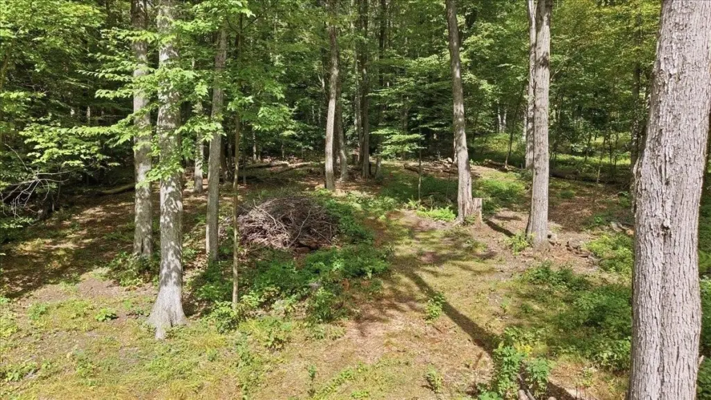 Picture 16