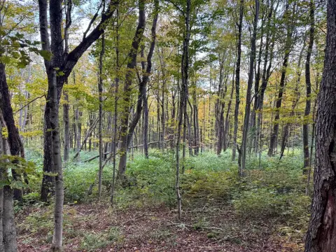 6-Acre Vacant Land in Otselic